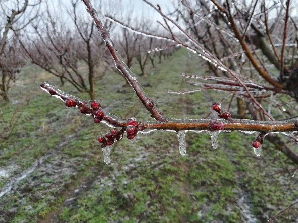 Revine iarna: În următoarele zile vor fi înghețuri de până la -5 grade, ninsori și lapoviță